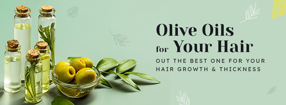 Olive Oils for Your Hair; Find Out the Best One for Your Hair Growth & Thickness