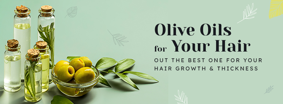 Olive Oils for Your Hair; Find Out the Best One for Your Hair Growth ...