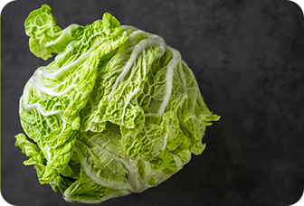 Cabbage