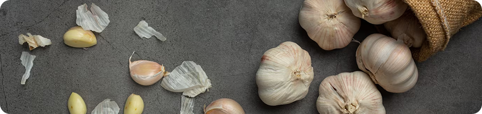 Garlic