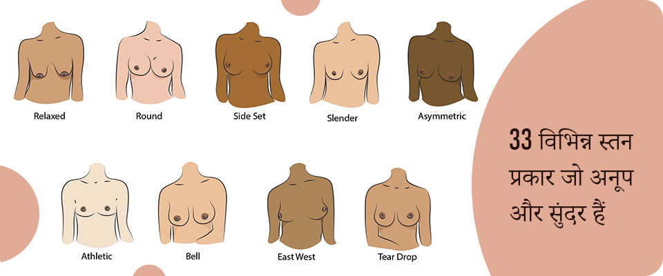 33 विभिन्न स्तन प्रकार जो अनूप और सुंदर हैं